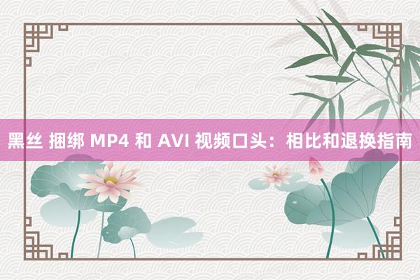 黑丝 捆绑 MP4 和 AVI 视频口头：相比和退换指南