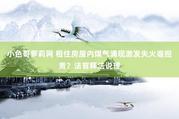 小色哥萝莉网 租住房屋内煤气涌现激发失火谁担责？法官释法说理