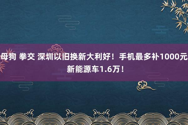 母狗 拳交 深圳以旧换新大利好！手机最多补1000元 新能源车1.6万！