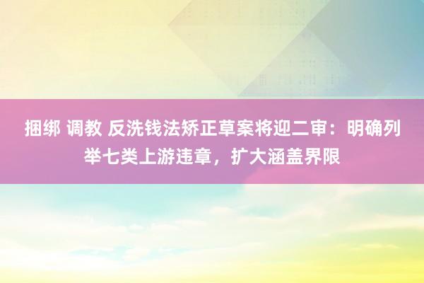 捆绑 调教 反洗钱法矫正草案将迎二审：明确列举七类上游违章，扩大涵盖界限