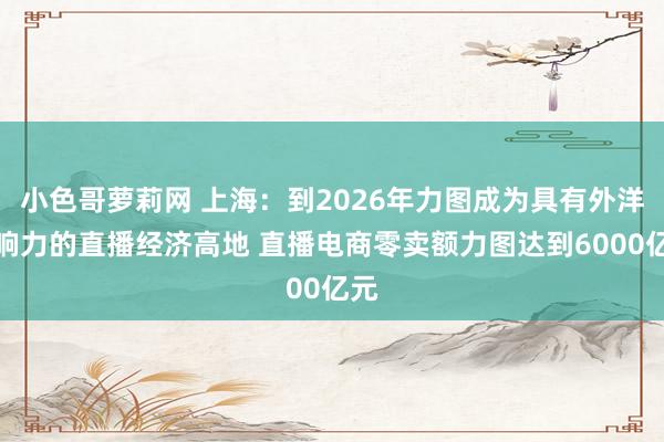 小色哥萝莉网 上海：到2026年力图成为具有外洋影响力的直播经济高地 直播电商零卖额力图达到6000亿元