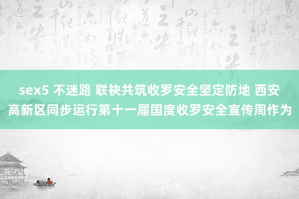 sex5 不迷路 联袂共筑收罗安全坚定防地 西安高新区同步运行第十一届国度收罗安全宣传周作为