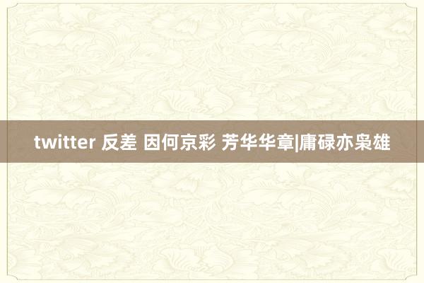 twitter 反差 因何京彩 芳华华章|庸碌亦枭雄