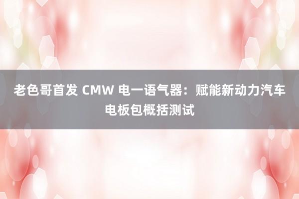 老色哥首发 CMW 电一语气器：赋能新动力汽车电板包概括测试