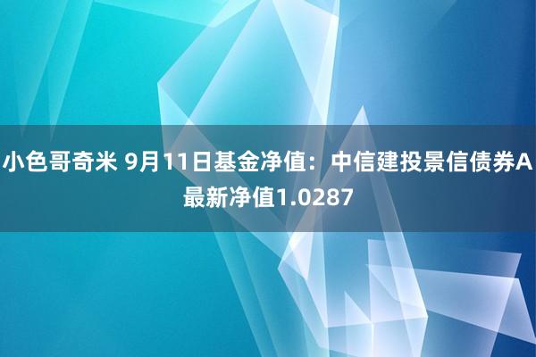 小色哥奇米 9月11日基金净值：中信建投景信债券A最新净值1.0287