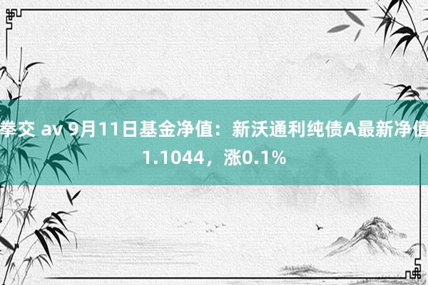 拳交 av 9月11日基金净值：新沃通利纯债A最新净值1.1044，涨0.1%