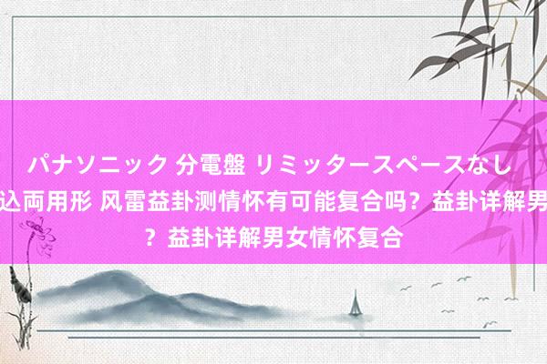 パナソニック 分電盤 リミッタースペースなし 露出・半埋込両用形 风雷益卦测情怀有可能复合吗？益卦详解男女情怀复合