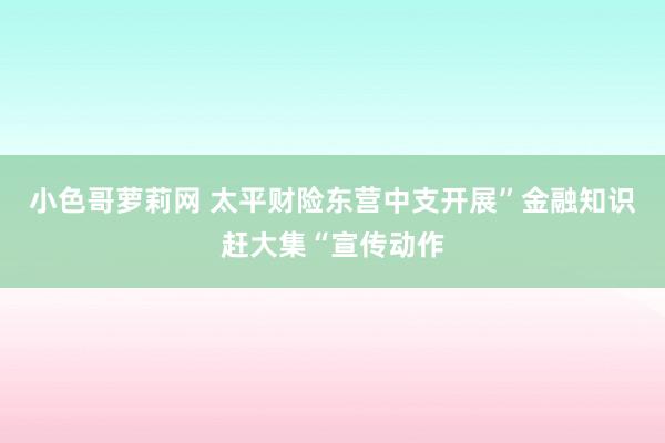 小色哥萝莉网 太平财险东营中支开展”金融知识赶大集“宣传动作