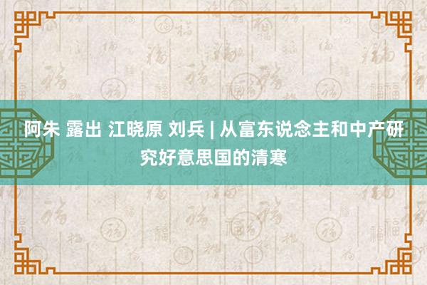 阿朱 露出 江晓原 刘兵 | 从富东说念主和中产研究好意思国的清寒