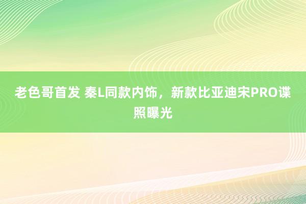 老色哥首发 秦L同款内饰，新款比亚迪宋PRO谍照曝光