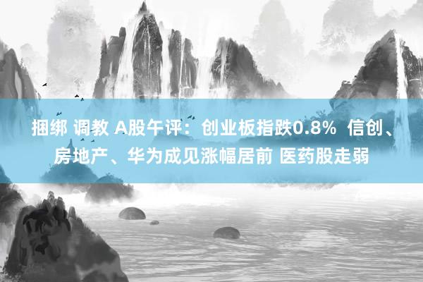 捆绑 调教 A股午评：创业板指跌0.8%  信创、房地产、华为成见涨幅居前 医药股走弱