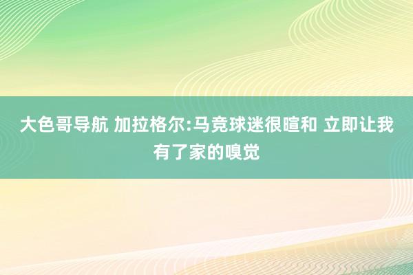 大色哥导航 加拉格尔:马竞球迷很暄和 立即让我有了家的嗅觉