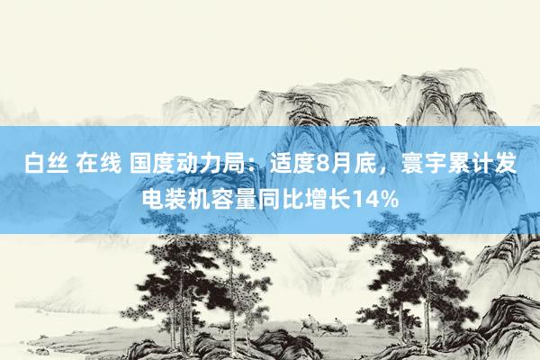 白丝 在线 国度动力局：适度8月底，寰宇累计发电装机容量同比增长14%