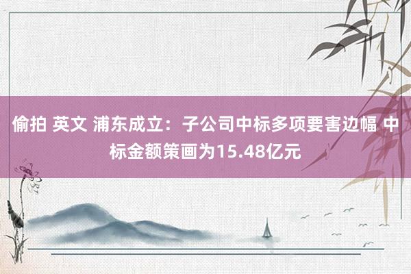 偷拍 英文 浦东成立：子公司中标多项要害边幅 中标金额策画为15.48亿元