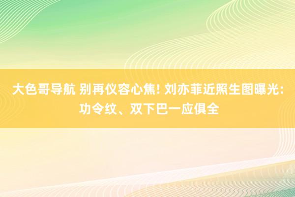 大色哥导航 别再仪容心焦! 刘亦菲近照生图曝光: 功令纹、双下巴一应俱全