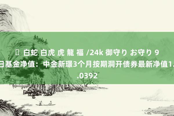 ✨白蛇 白虎 虎 龍 福 /24k 御守り お守り 9月26日基金净值：中金新璟3个月按期洞开债券最新净值1.0392