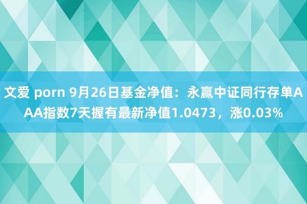 文爱 porn 9月26日基金净值：永赢中证同行存单AAA指数7天握有最新净值1.0473，涨0.03%