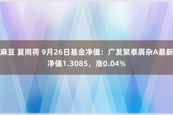 麻豆 夏雨荷 9月26日基金净值：广发聚泰羼杂A最新净值1.3085，涨0.04%