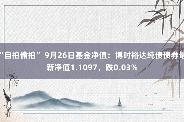 “自拍偷拍” 9月26日基金净值：博时裕达纯债债券最新净值1.1097，跌0.03%