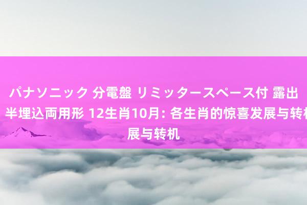 パナソニック 分電盤 リミッタースペース付 露出・半埋込両用形 12生肖10月: 各生肖的惊喜发展与转机