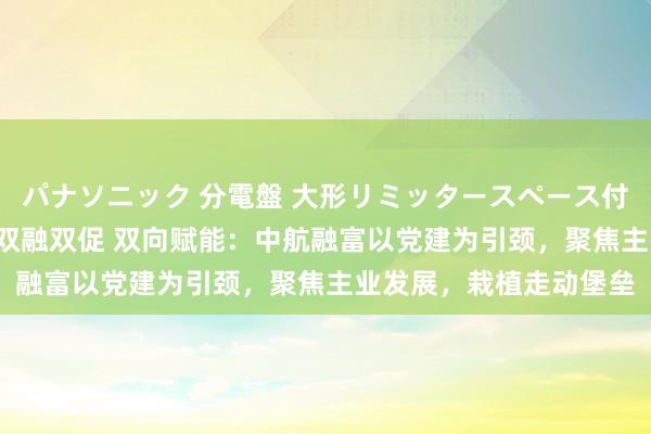 パナソニック 分電盤 大形リミッタースペース付 露出・半埋込両用形 双融双促 双向赋能：中航融富以党建为引颈，聚焦主业发展，栽植走动堡垒