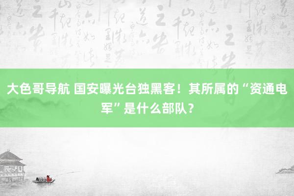 大色哥导航 国安曝光台独黑客！其所属的“资通电军”是什么部队？