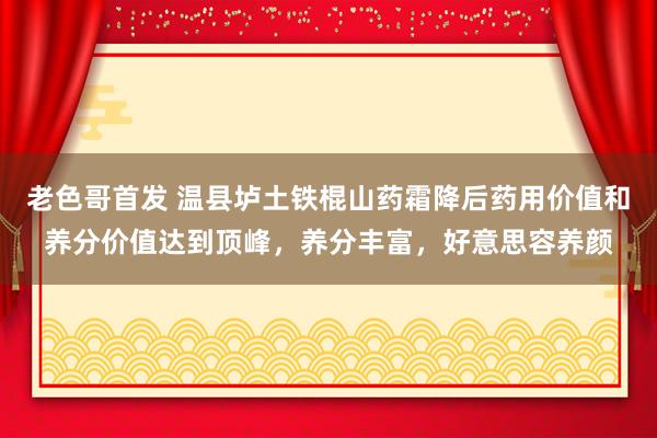 老色哥首发 温县垆土铁棍山药霜降后药用价值和养分价值达到顶峰，养分丰富，好意思容养颜