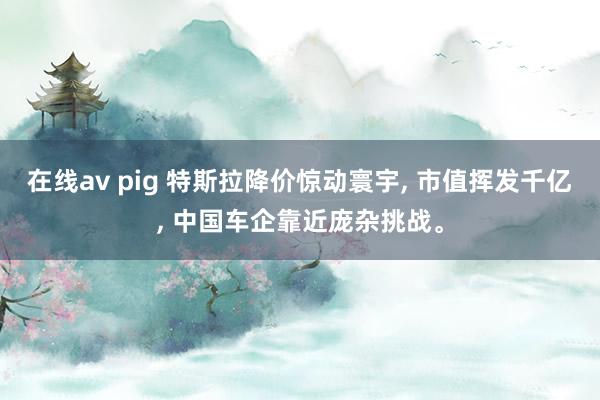 在线av pig 特斯拉降价惊动寰宇， 市值挥发千亿， 中国车企靠近庞杂挑战。