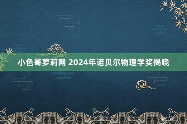 小色哥萝莉网 2024年诺贝尔物理学奖揭晓