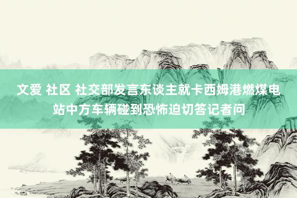 文爱 社区 社交部发言东谈主就卡西姆港燃煤电站中方车辆碰到恐怖迫切答记者问