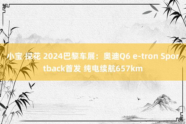 小宝 探花 2024巴黎车展：奥迪Q6 e-tron Sportback首发 纯电续航657km