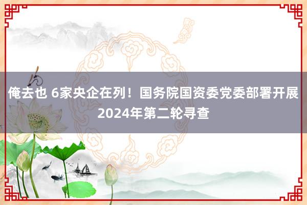 俺去也 6家央企在列！国务院国资委党委部署开展2024年第二轮寻查