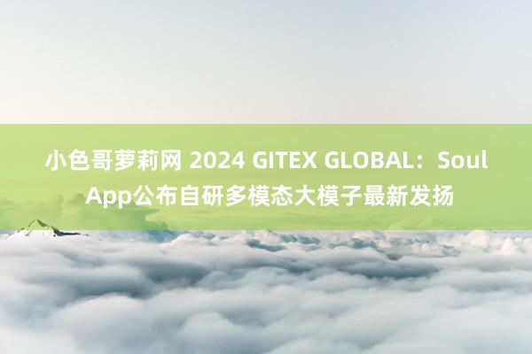 小色哥萝莉网 2024 GITEX GLOBAL：Soul App公布自研多模态大模子最新发扬