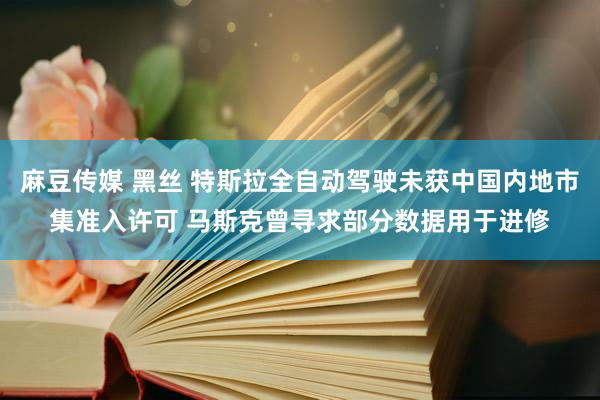 麻豆传媒 黑丝 特斯拉全自动驾驶未获中国内地市集准入许可 马斯克曾寻求部分数据用于进修