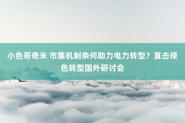 小色哥奇米 市集机制奈何助力电力转型？直击绿色转型国外研讨会