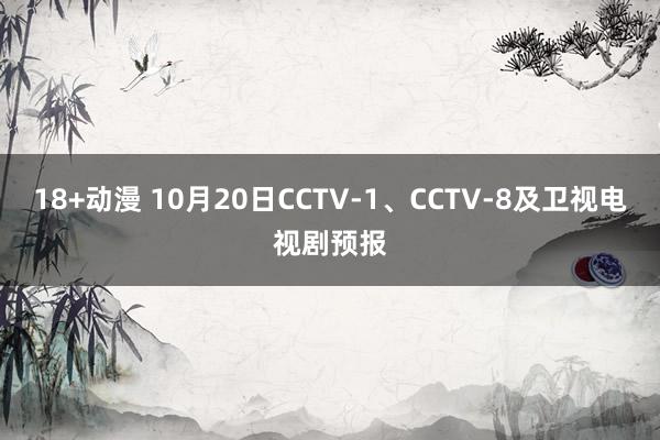 18+动漫 10月20日CCTV-1、CCTV-8及卫视电视剧预报