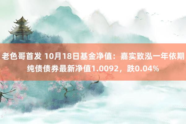 老色哥首发 10月18日基金净值：嘉实致泓一年依期纯债债券最新净值1.0092，跌0.04%