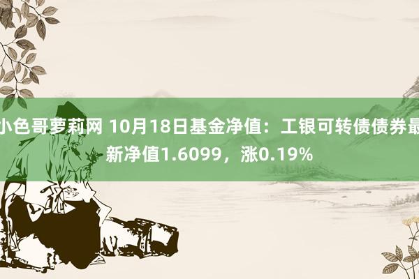 小色哥萝莉网 10月18日基金净值：工银可转债债券最新净值1.6099，涨0.19%