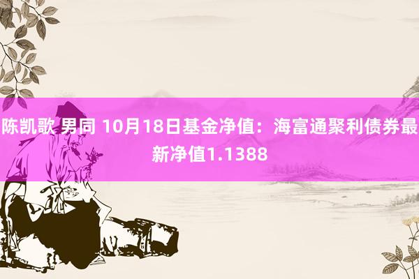 陈凯歌 男同 10月18日基金净值：海富通聚利债券最新净值1.1388