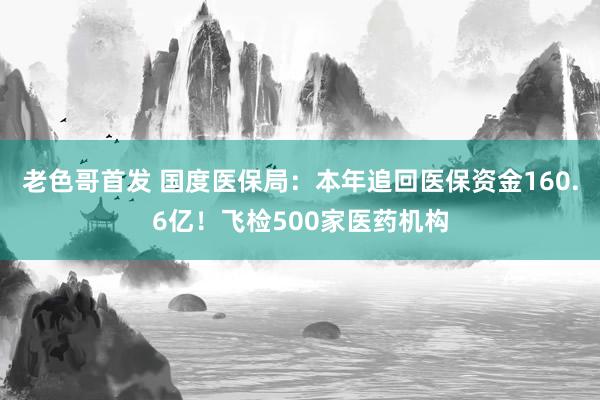 老色哥首发 国度医保局：本年追回医保资金160.6亿！飞检500家医药机构