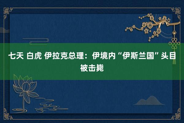 七天 白虎 伊拉克总理：伊境内“伊斯兰国”头目被击毙