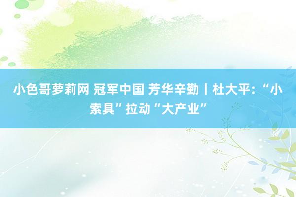 小色哥萝莉网 冠军中国 芳华辛勤丨杜大平: “小索具”拉动“大产业”