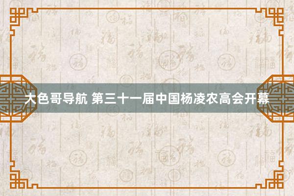 大色哥导航 第三十一届中国杨凌农高会开幕