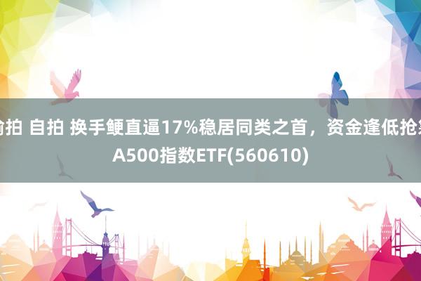 偷拍 自拍 换手鲠直逼17%稳居同类之首，资金逢低抢筹A500指数ETF(560610)