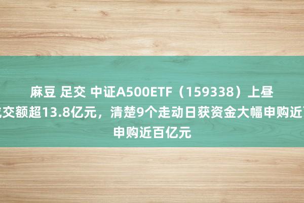 麻豆 足交 中证A500ETF（159338）上昼收盘成交额超13.8亿元，清楚9个走动日获资金大幅申购近百亿元