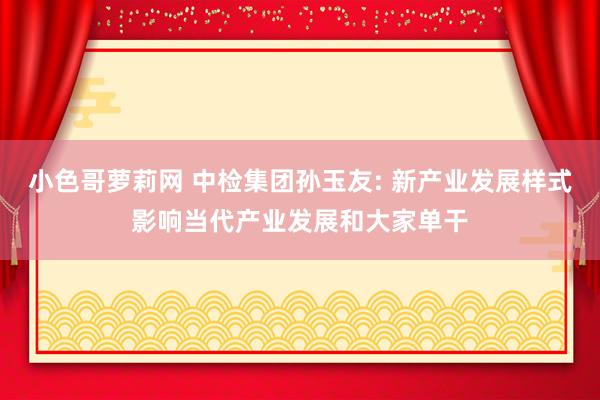 小色哥萝莉网 中检集团孙玉友: 新产业发展样式影响当代产业发展和大家单干