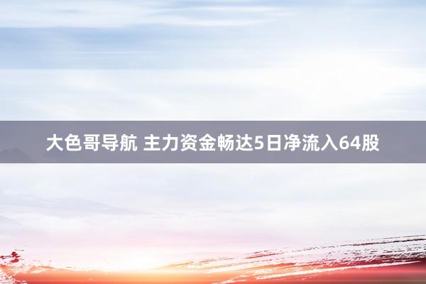 大色哥导航 主力资金畅达5日净流入64股