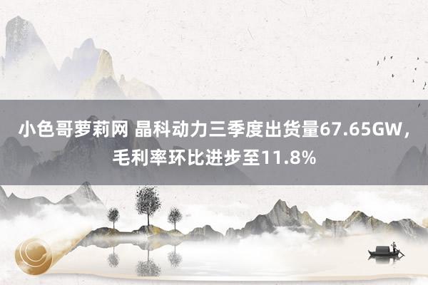 小色哥萝莉网 晶科动力三季度出货量67.65GW，毛利率环比进步至11.8%