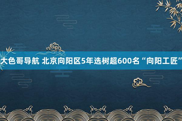 大色哥导航 北京向阳区5年选树超600名“向阳工匠”