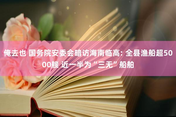 俺去也 国务院安委会暗访海南临高: 全县渔船超5000艘 近一半为“三无”船舶